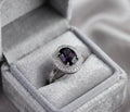 THE REGAL AMARA OVAL HALO RING