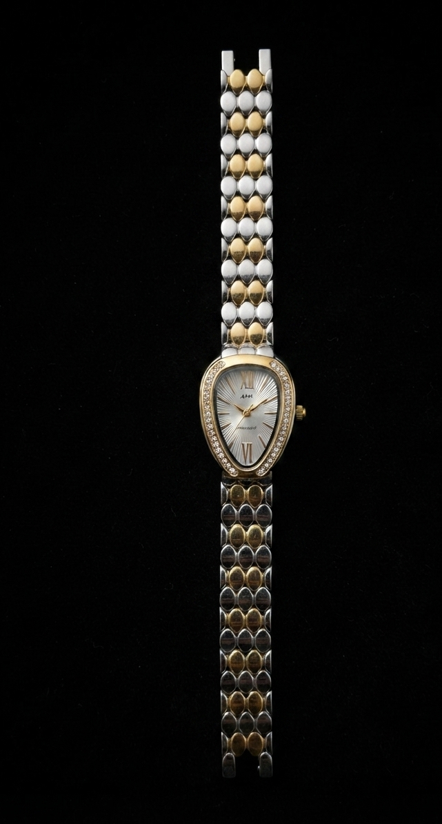 THE TWO - TONE WATCH